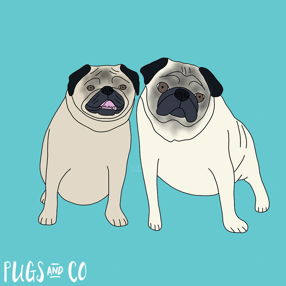 Pet Portraits - Two Pets