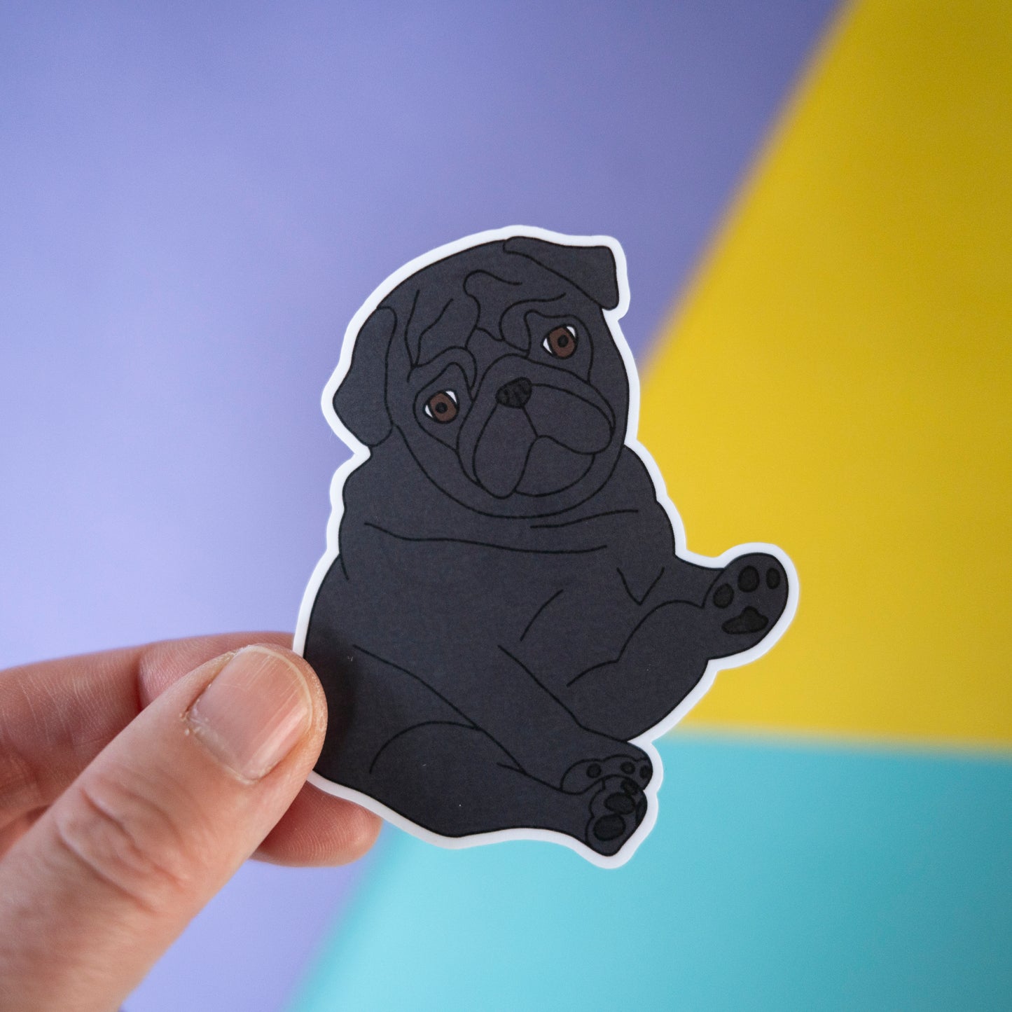Black Chubby Pug 3" Sticker