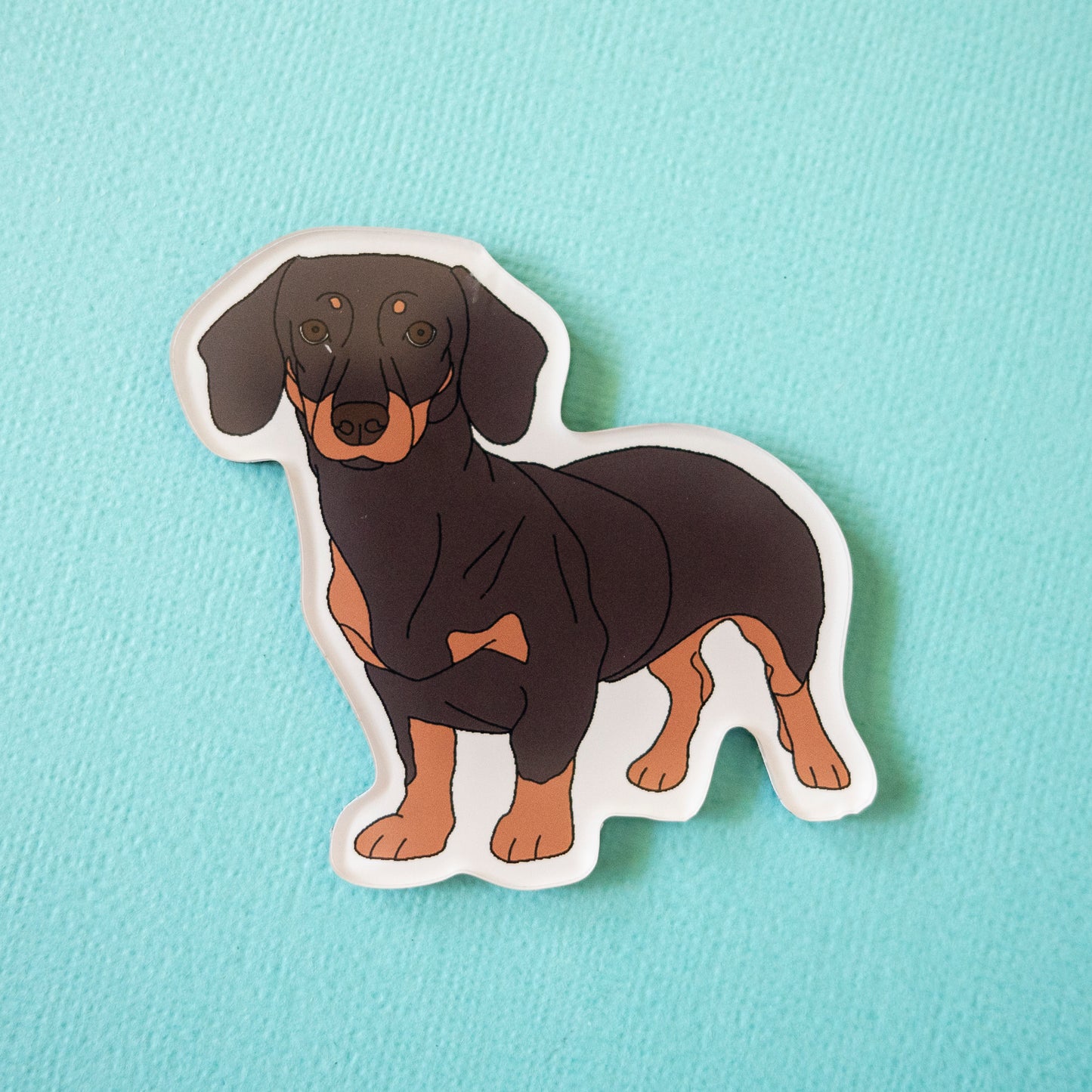 Dachshund Acrylic Fridge Magnet - Brown & Tan