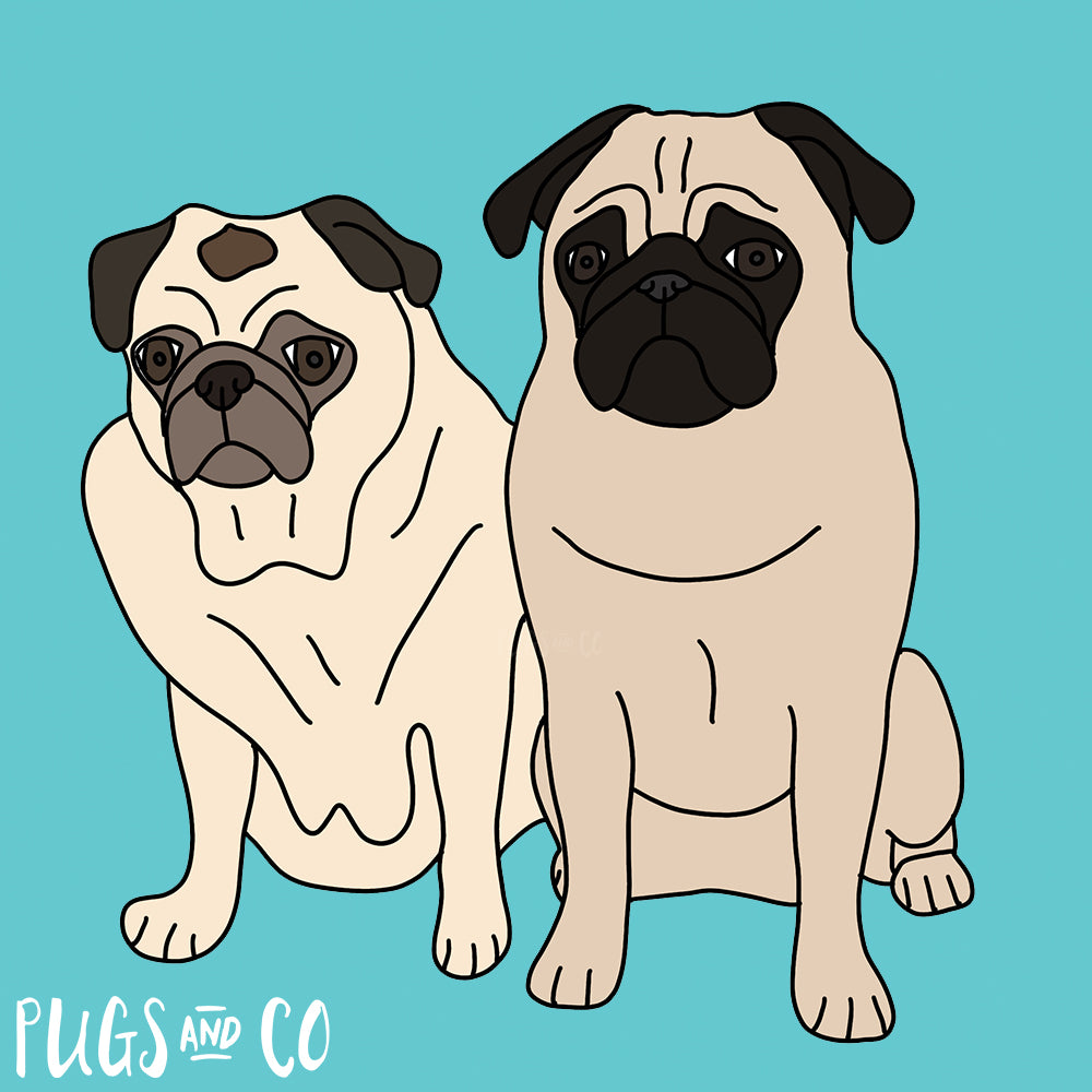 Pet Portraits - Two Pets