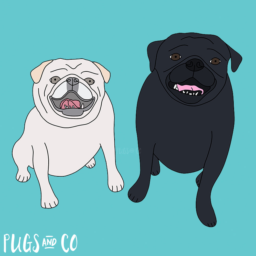 Pet Portraits - Two Pets