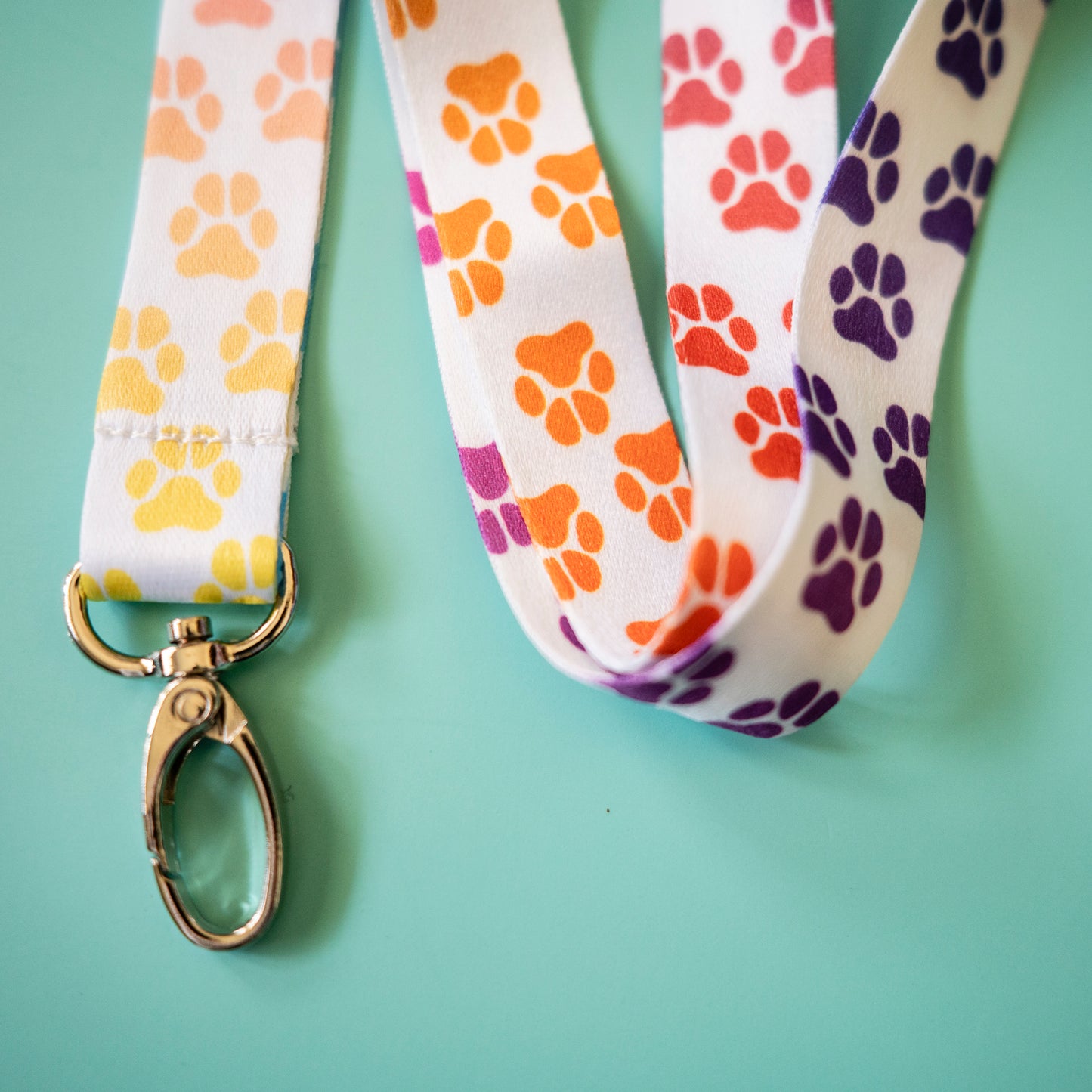 Paw Print Lanyard - Rainbow