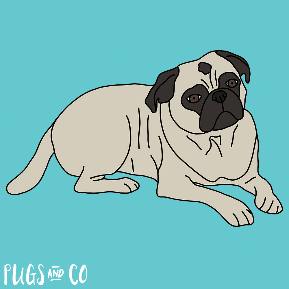 Pet Portraits - Two Pets