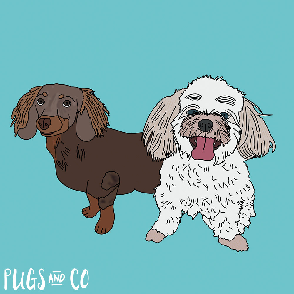 Pet Portraits - Two Pets