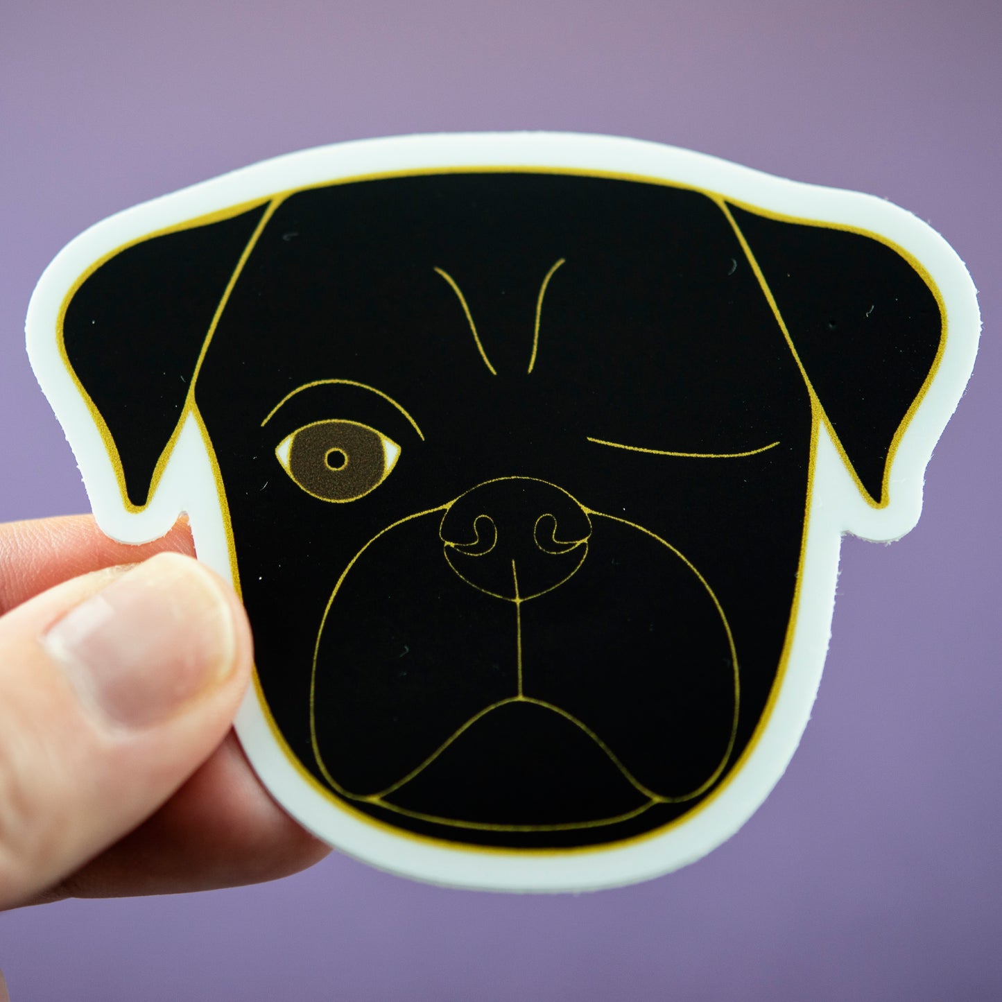 Black Pirate Pug 3" Sticker