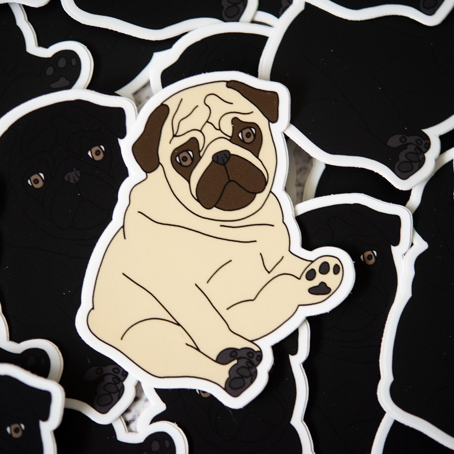 Fawn Chubby Pug 3" Sticker