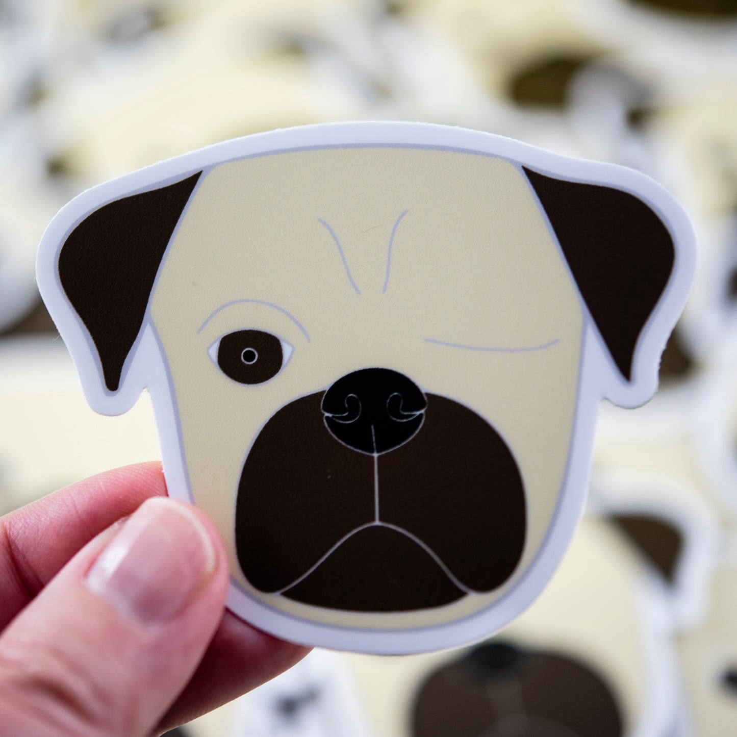 Fawn Pirate Pug 3" Sticker