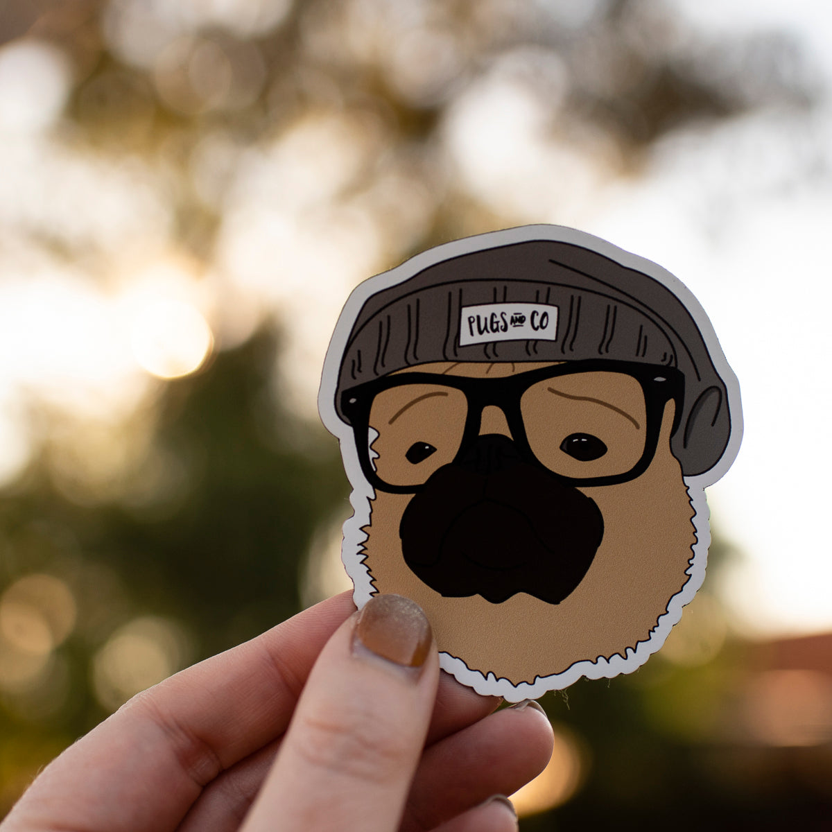 Hipster Fawn Pug Magnet