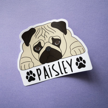Personalised Fawn Pug Car Sticker - 5"