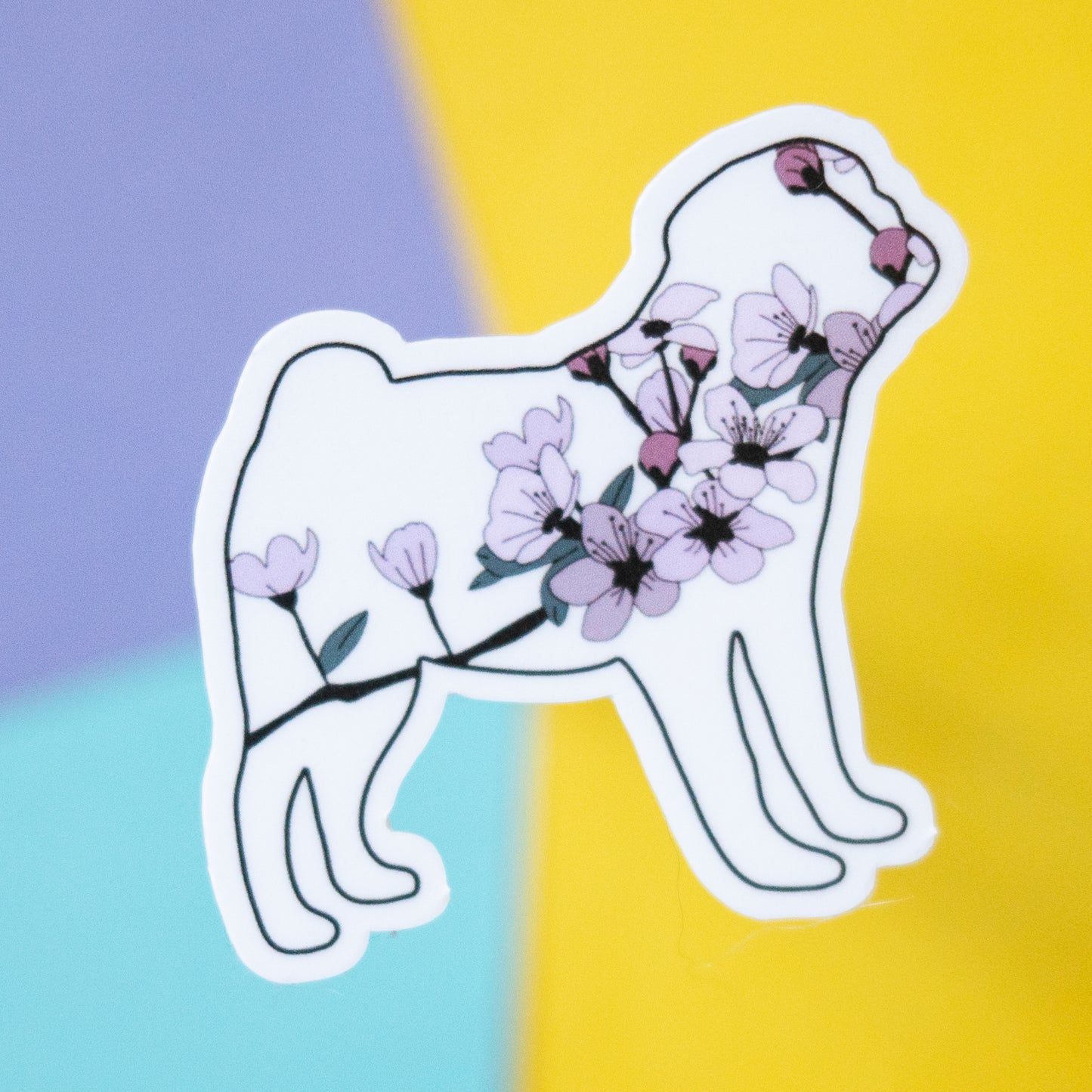 Cherry Blossom Pug 5" Sticker