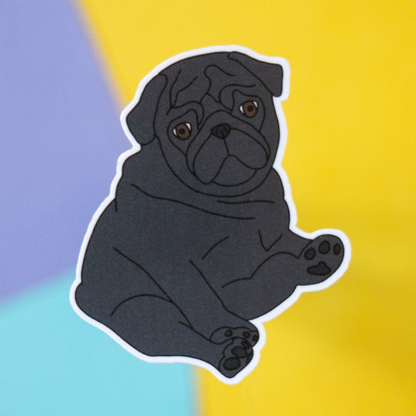 Black Chubby Pug 7" Sticker