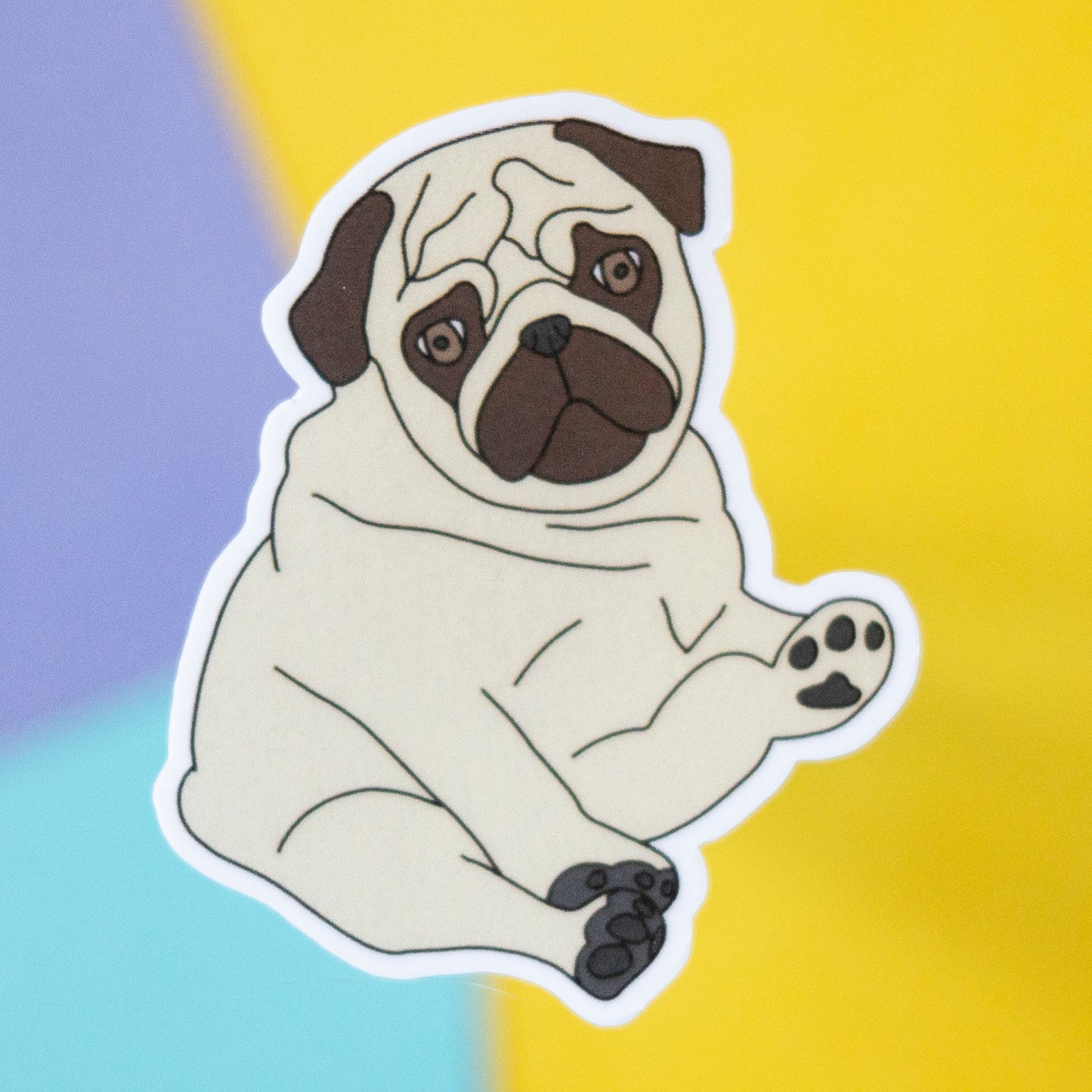 Fawn Chubby Pug 5" Sticker