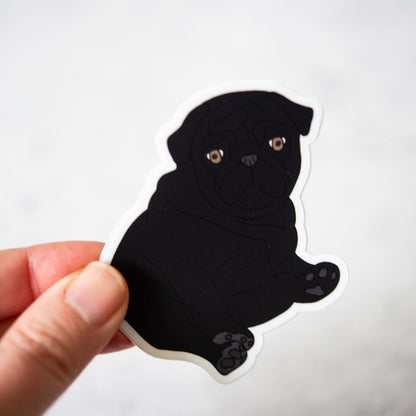 Black Chubby Pug Sticker