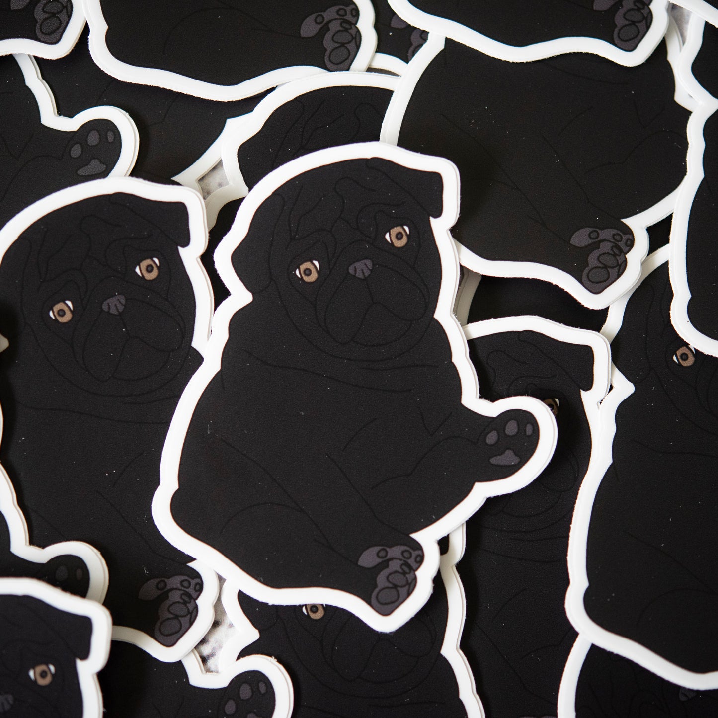 Black Chubby Pug Sticker