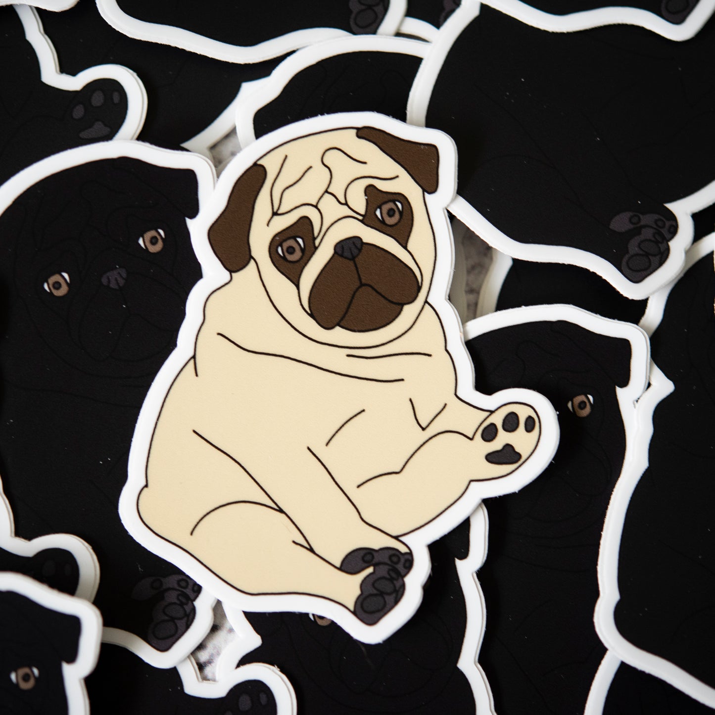 Fawn Chubby Pug Sticker