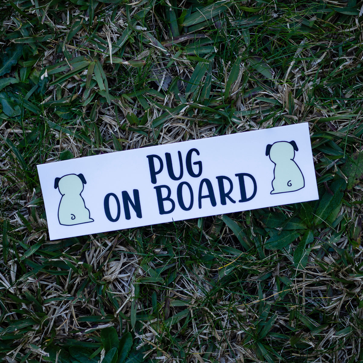 Fawn Pug on Board Bumper Sticker