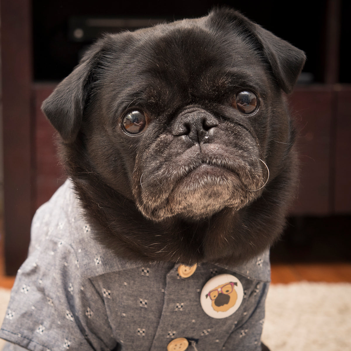 Nerdy Fawn Pug Badge